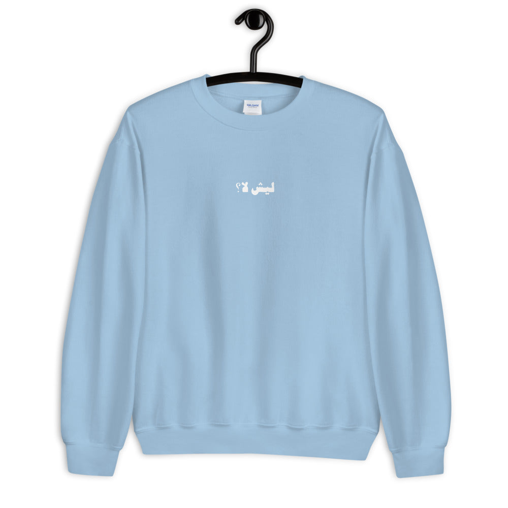 Why not? Crew Neck Sweatshirt